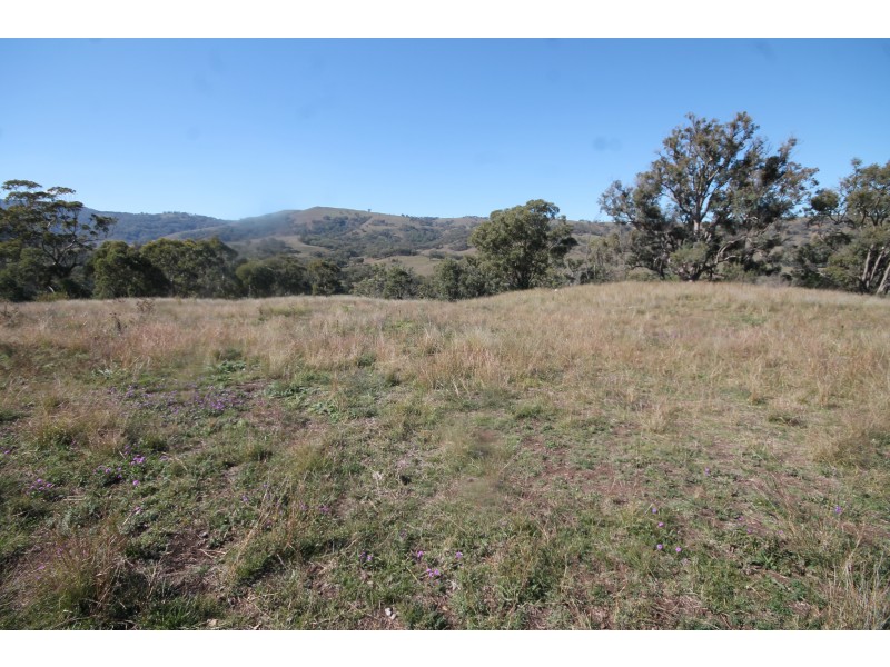 2284 PEMBROKE ROAD, Cassilis NSW 2329