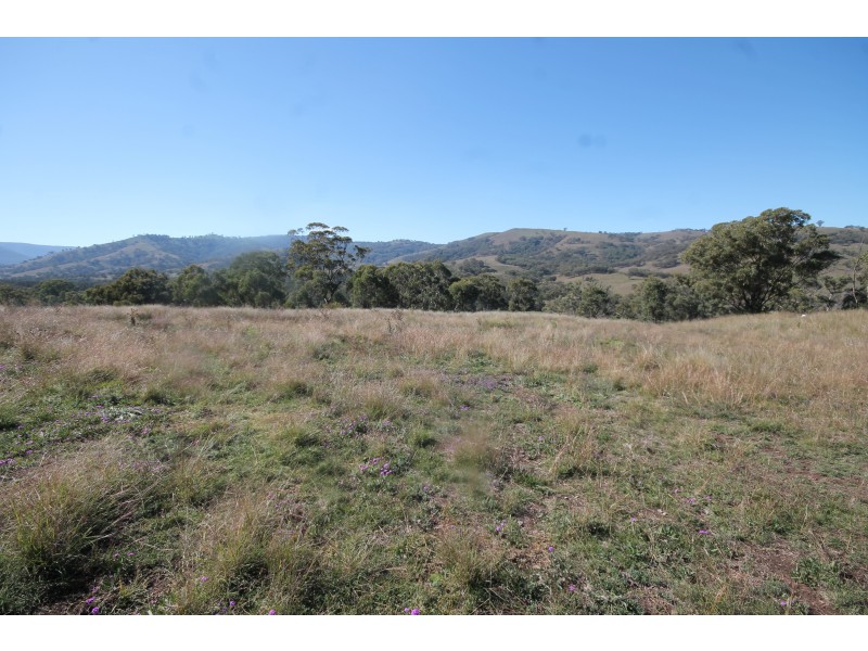 2284 PEMBROKE ROAD, Cassilis NSW 2329