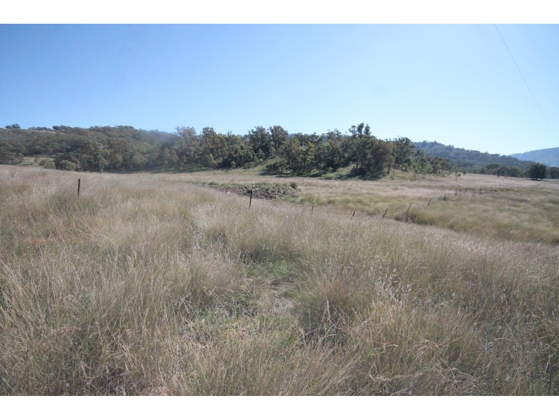 2284 PEMBROKE ROAD, Cassilis NSW 2329