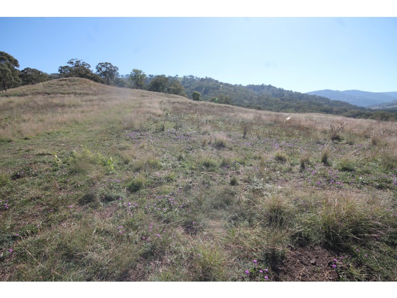 2284 PEMBROKE ROAD, Cassilis NSW 2329