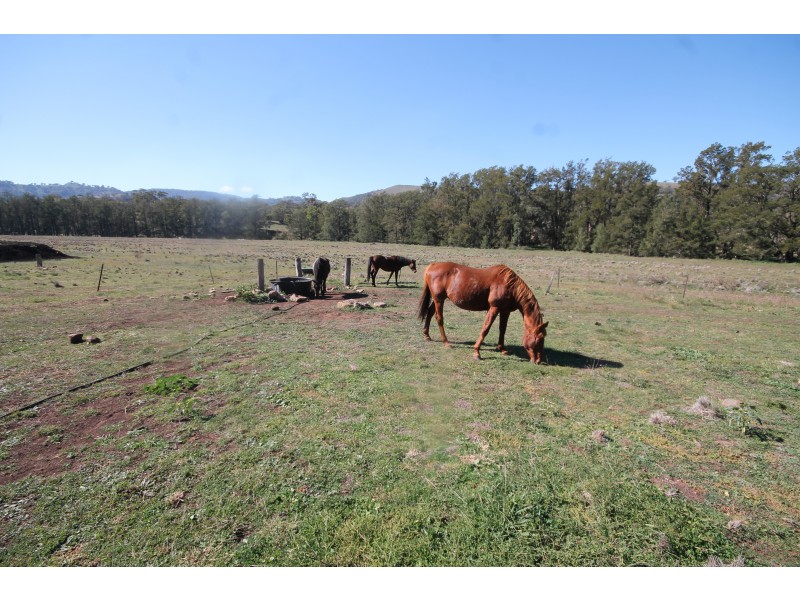 2284 PEMBROKE ROAD, Cassilis NSW 2329