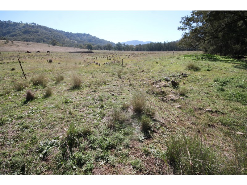 2284 PEMBROKE ROAD, Cassilis NSW 2329