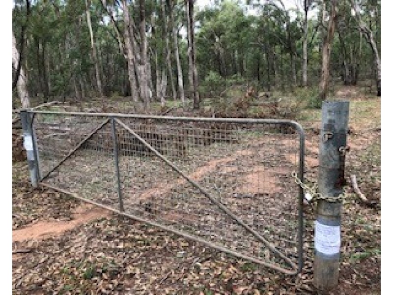 1981 WOLLARA ROAD, Merriwa NSW 2329