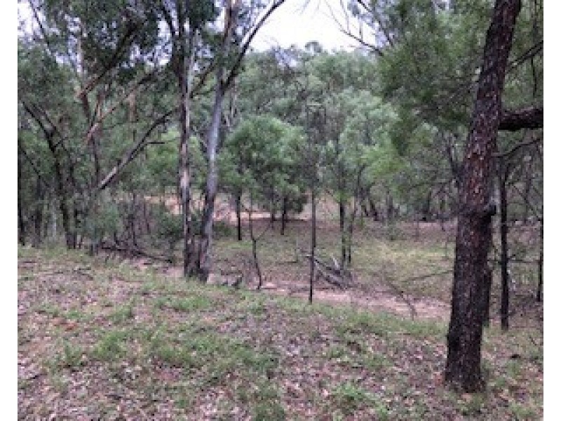 1981 WOLLARA ROAD, Merriwa NSW 2329