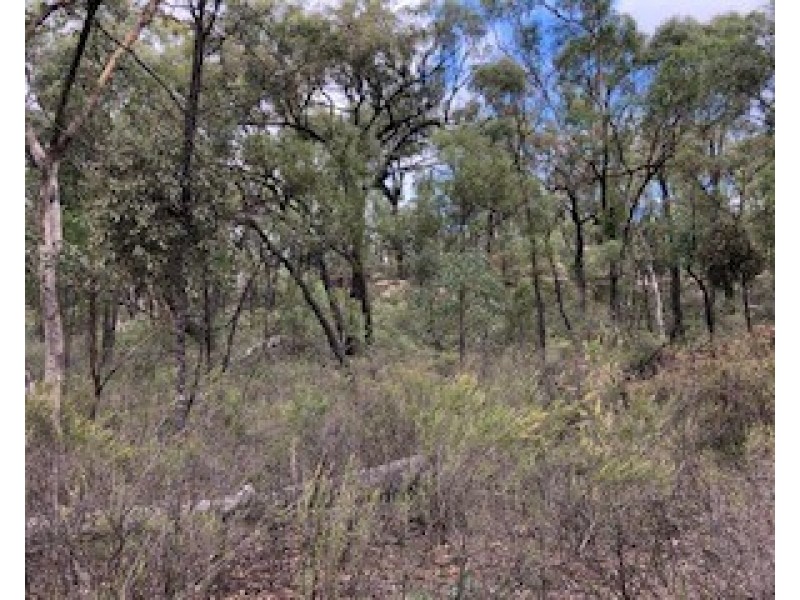 1981 WOLLARA ROAD, Merriwa NSW 2329