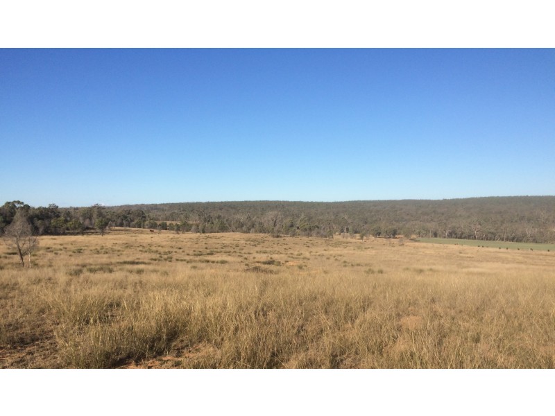 Lot 113 Turill Bus Route Road, Turill NSW 2850