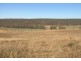Lot 113 Turill Bus Route Road, Turill NSW 2850