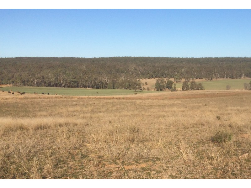 Lot 113 Turill Bus Route Road, Turill NSW 2850