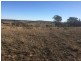 Lot 113 Turill Bus Route Road, Turill NSW 2850