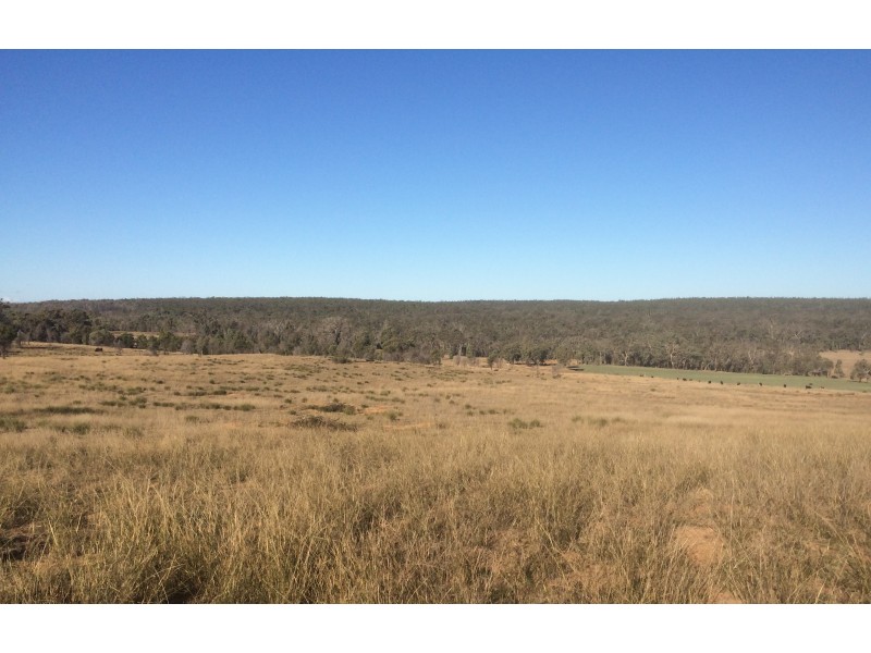 Lot 113 Turill Bus Route Road, Turill NSW 2850