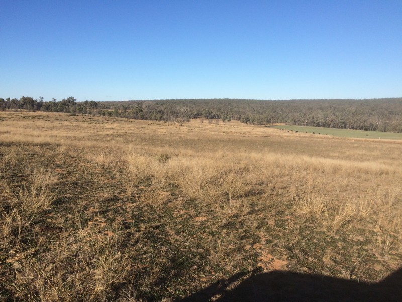 Lot 113 Turill Bus Route Road, Turill NSW 2850