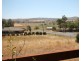 2 Elizabeth Street, Merriwa NSW 2329