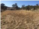 40 WILLIAM STREET, Merriwa NSW 2329