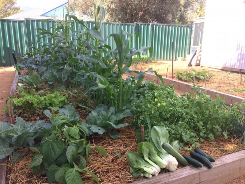 20 CULLINGRAL STREET, Merriwa NSW 2329