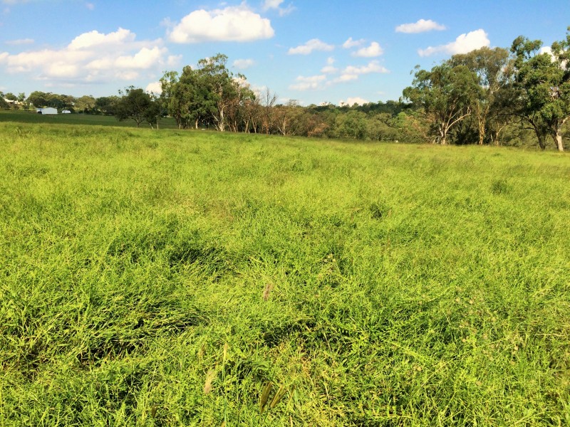 11 HALL ROAD, Merriwa NSW 2329