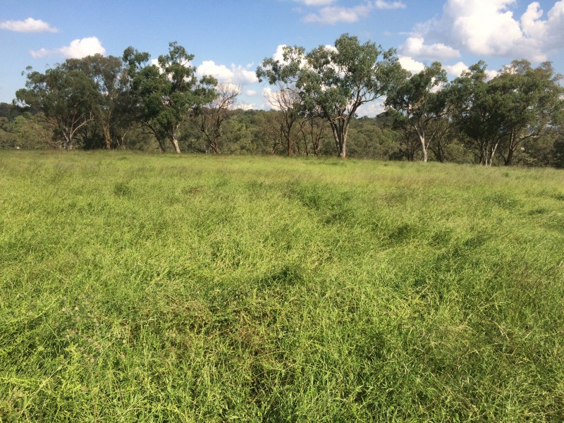 11 HALL ROAD, Merriwa NSW 2329