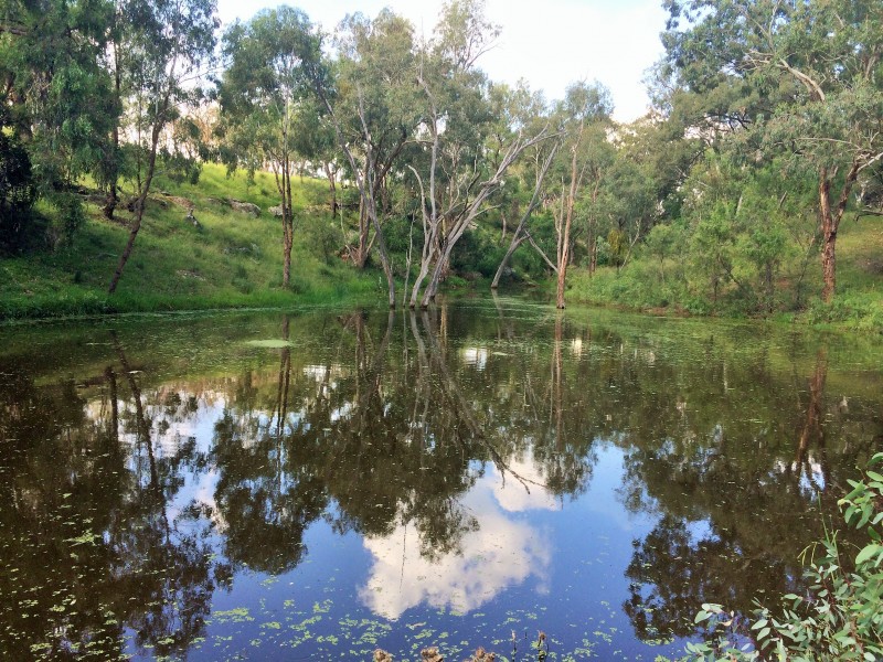 11 HALL ROAD, Merriwa NSW 2329