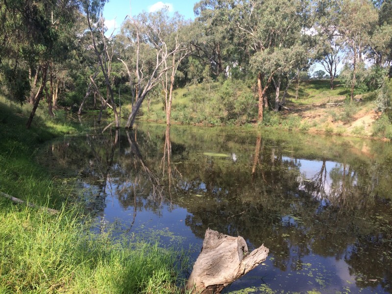 11 HALL ROAD, Merriwa NSW 2329