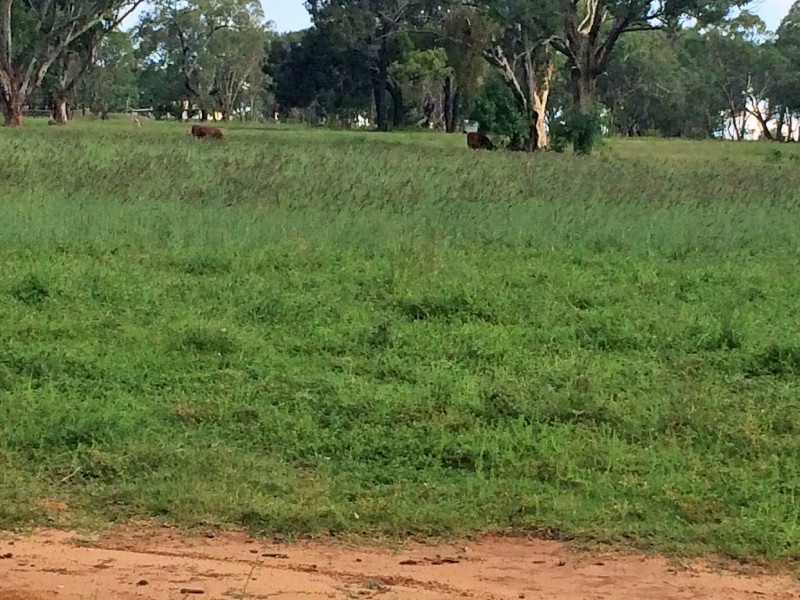 11 HALL ROAD, Merriwa NSW 2329