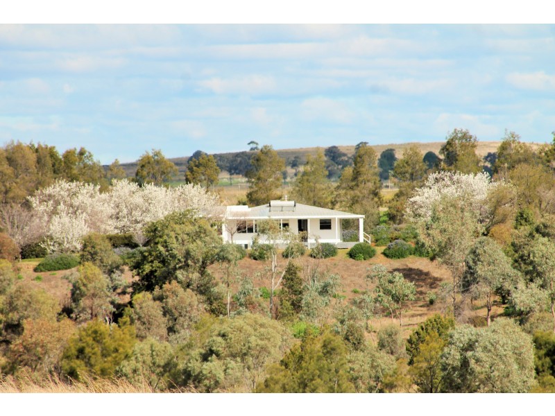 6297 Scone Road, Merriwa NSW 2329