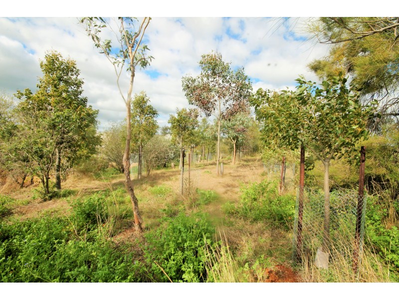 6297 Scone Road, Merriwa NSW 2329