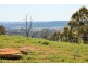 3239 GOLDEN HIGHWAY, Gungal NSW 2333