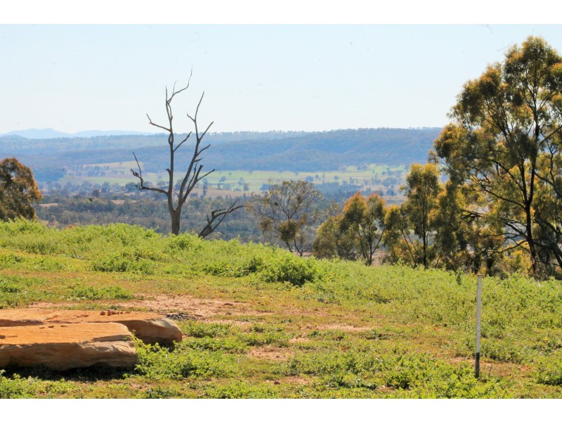 3239 GOLDEN HIGHWAY, Gungal NSW 2333