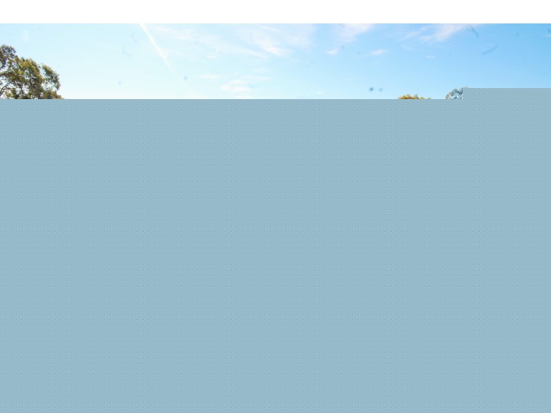 3239 GOLDEN HIGHWAY, Gungal NSW 2333