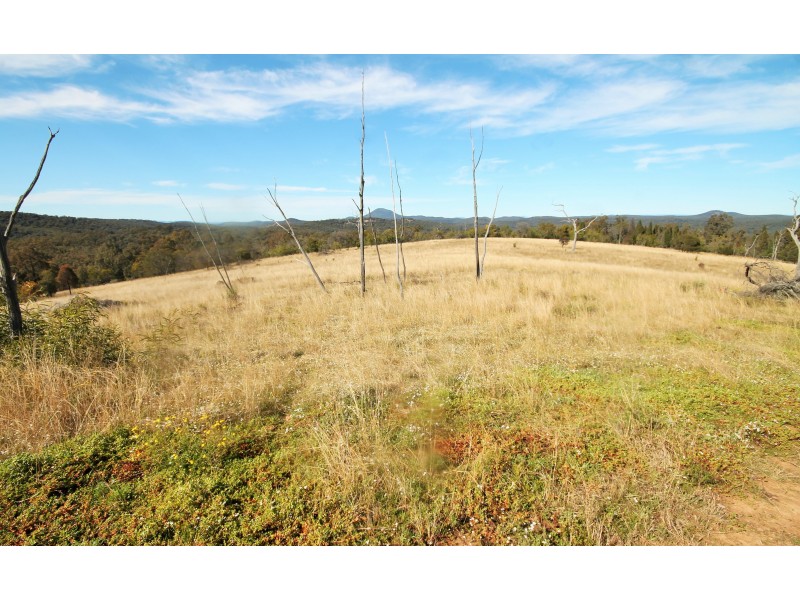 3239 GOLDEN HIGHWAY, Gungal NSW 2333