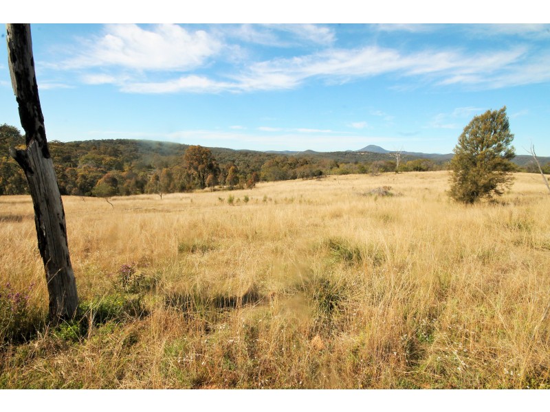 3239 GOLDEN HIGHWAY, Gungal NSW 2333