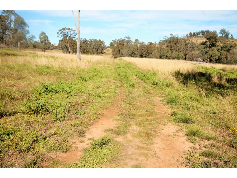 3239 GOLDEN HIGHWAY, Gungal NSW 2333