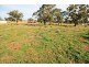 127/Lot Hall Road, Merriwa NSW 2329