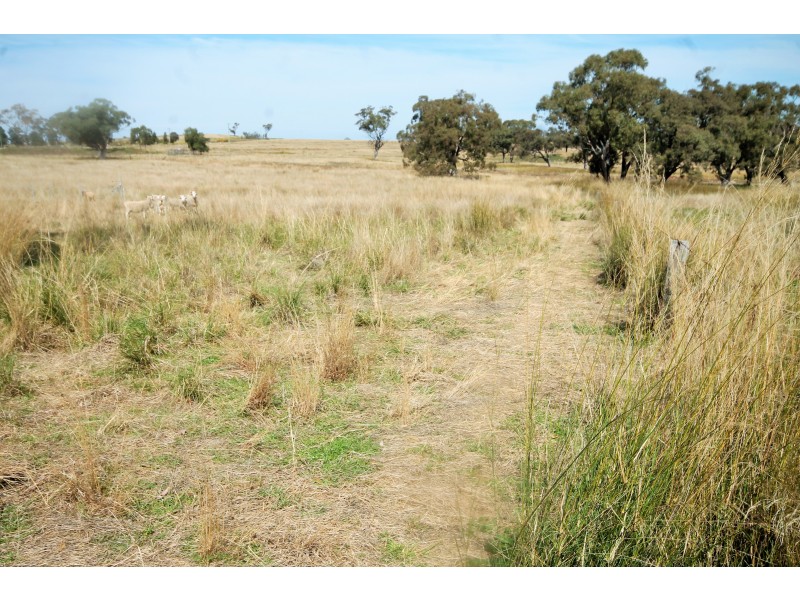 132 Hall Road, Merriwa NSW 2329