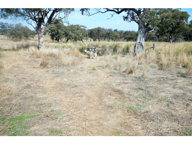 132 Hall Road, Merriwa NSW 2329