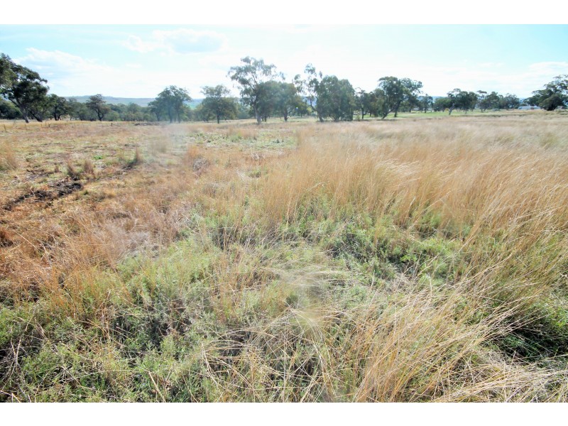 132 Hall Road, Merriwa NSW 2329