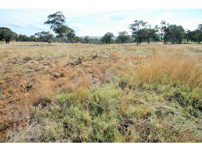 132 Hall Road, Merriwa NSW 2329