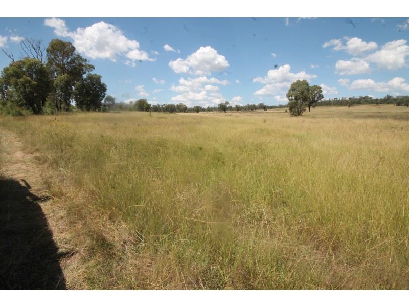 450 CAINBIL ROAD, Uarbry NSW 2329