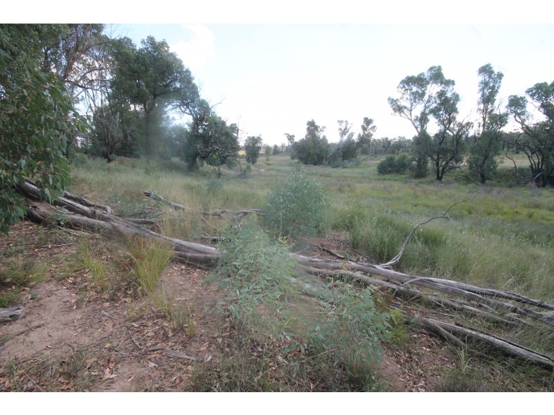 450 CAINBIL ROAD, Uarbry NSW 2329