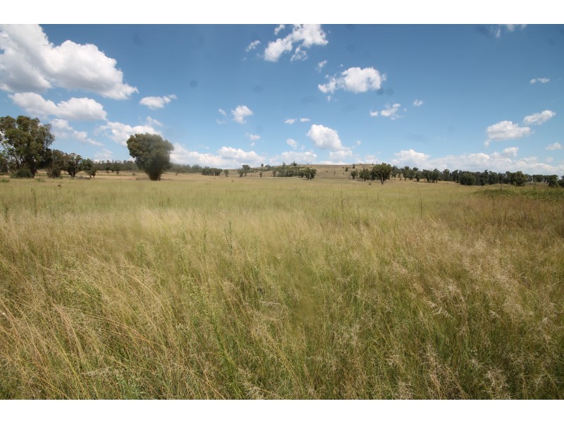 450 CAINBIL ROAD, Uarbry NSW 2329