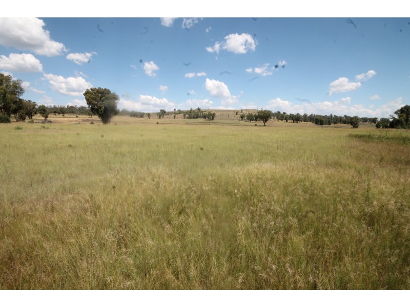 450 CAINBIL ROAD, Uarbry NSW 2329