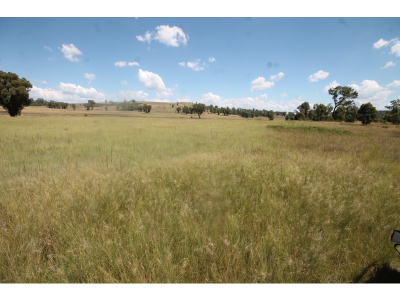 450 CAINBIL ROAD, Uarbry NSW 2329