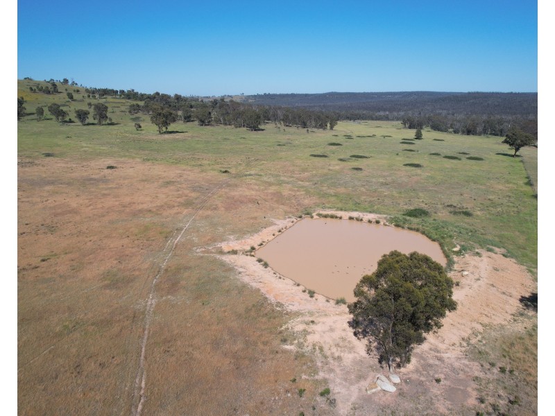 12704 GOLDEN HIGHWAY, Uarbry NSW 2329