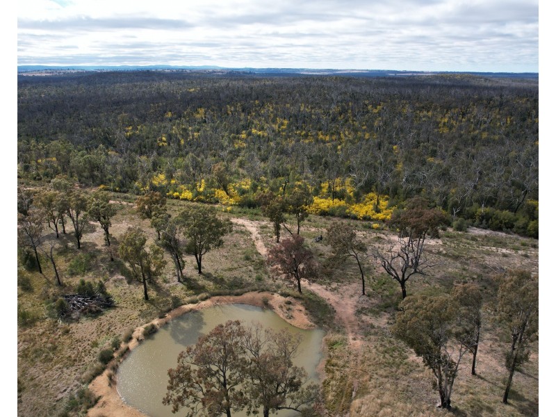 12704 GOLDEN HIGHWAY, Uarbry NSW 2329