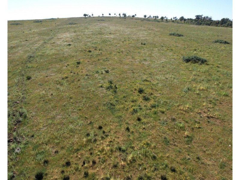 12704 GOLDEN HIGHWAY, Uarbry NSW 2329