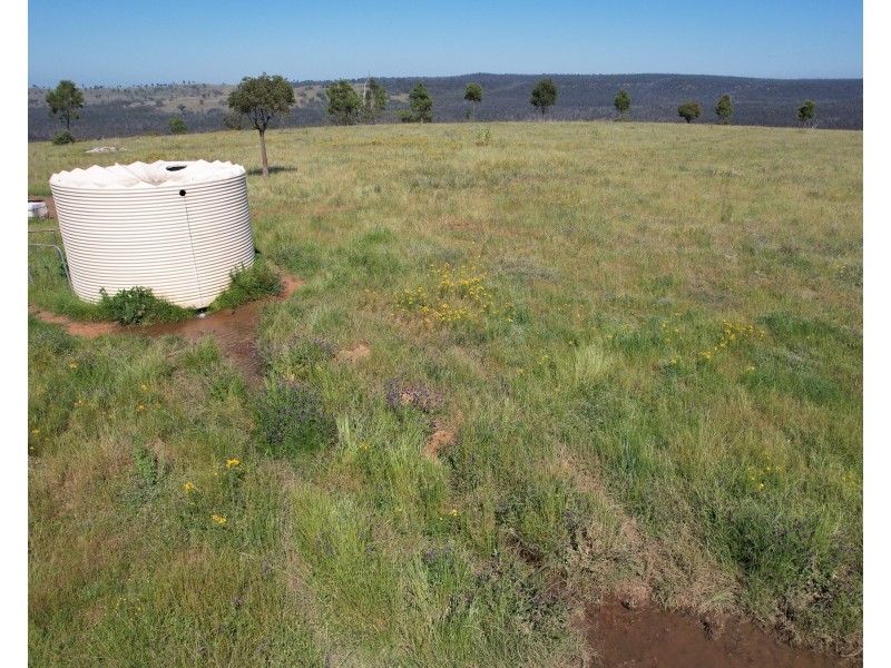 12704 GOLDEN HIGHWAY, Uarbry NSW 2329