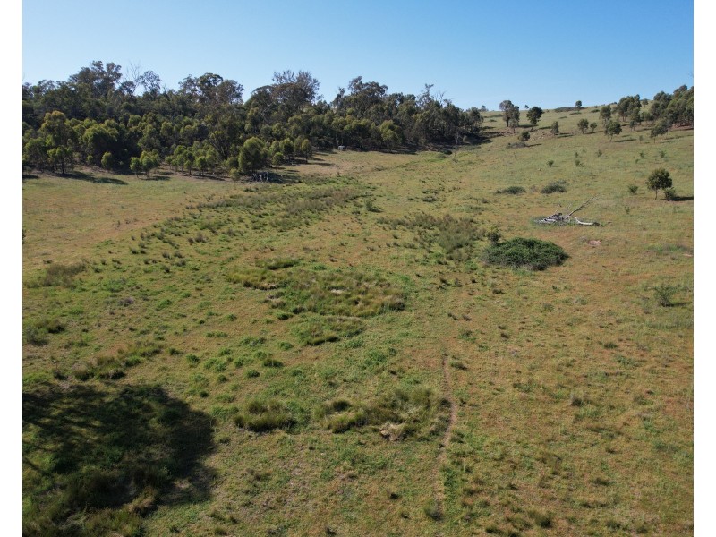 12704 GOLDEN HIGHWAY, Uarbry NSW 2329