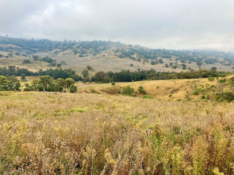 2229 PEMBROKE ROAD, Cassilis NSW 2329