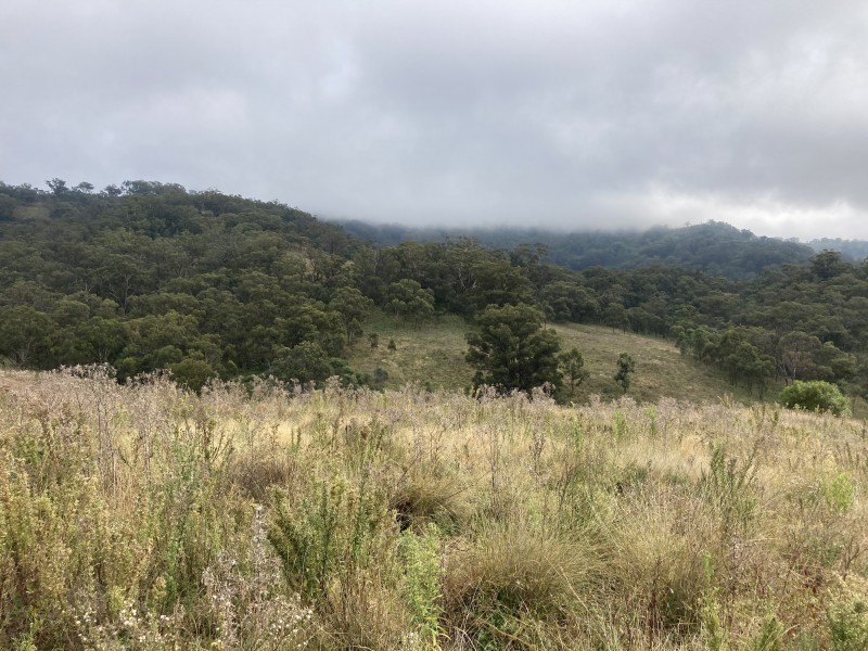 2229 PEMBROKE ROAD, Cassilis NSW 2329