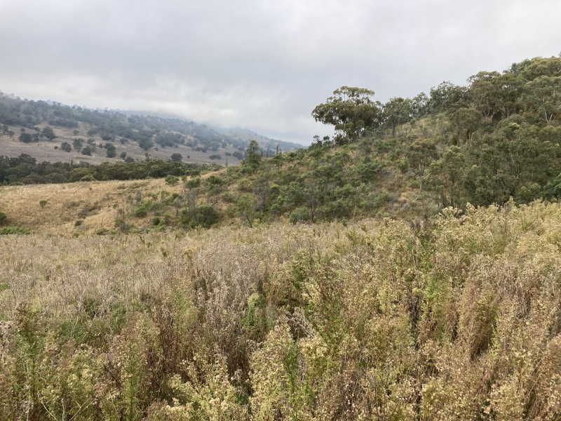 2229 PEMBROKE ROAD, Cassilis NSW 2329