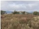 2229 PEMBROKE ROAD, Cassilis NSW 2329